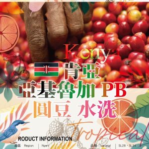 勁香團-肯亞 亞基魯加 PB 圓豆 水洗5公斤裝