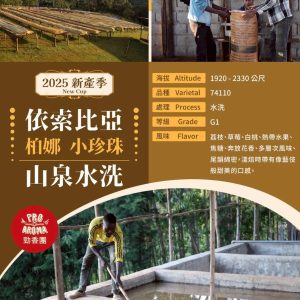 勁香團-依索比亞 柏娜 小珍珠 山泉水洗 5公斤裝